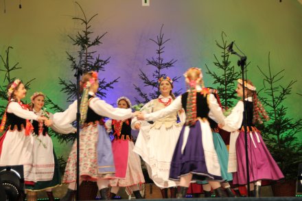 Występy konkursowe MSF